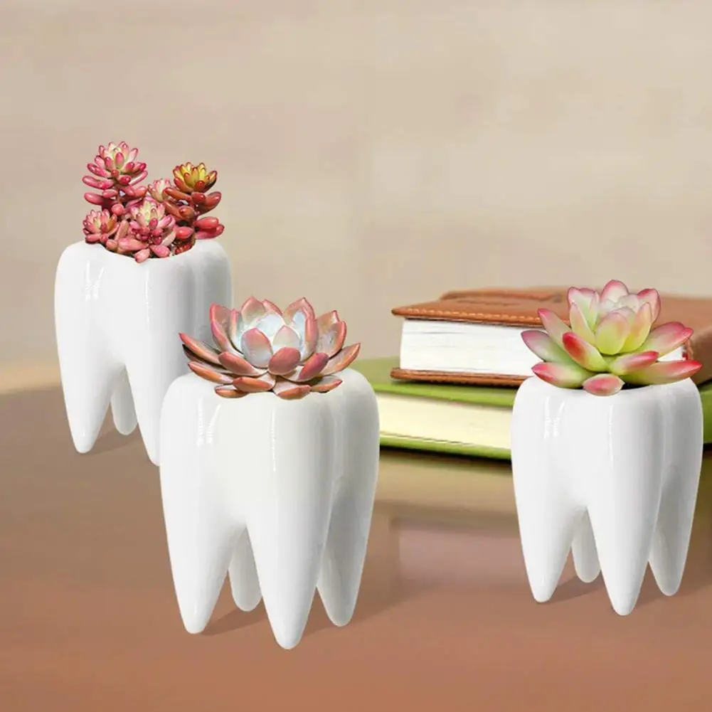 1 бр. Керамична саксия във формата на зъба Предмети от интериора Саксия за растения, Ваза за Сочни Кактуси Маса за детски басейна Цвете Cu D3d0